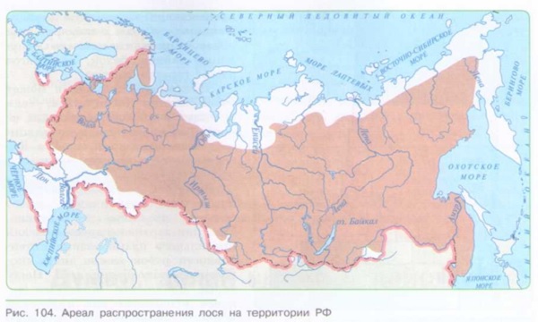 ПОПУЛЯЦИЯ КАК СТРУКТУРНАЯ ЕДИНИЦА ВИДА